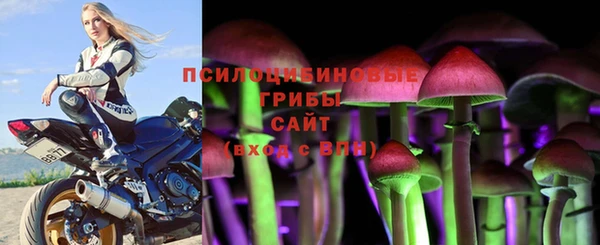 герыч Арсеньев
